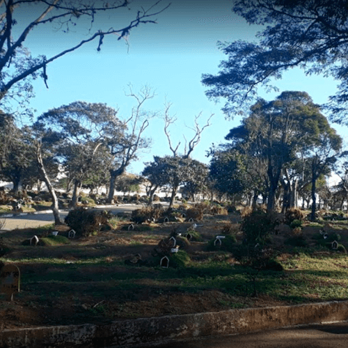 Campo cemitério do Lajeado