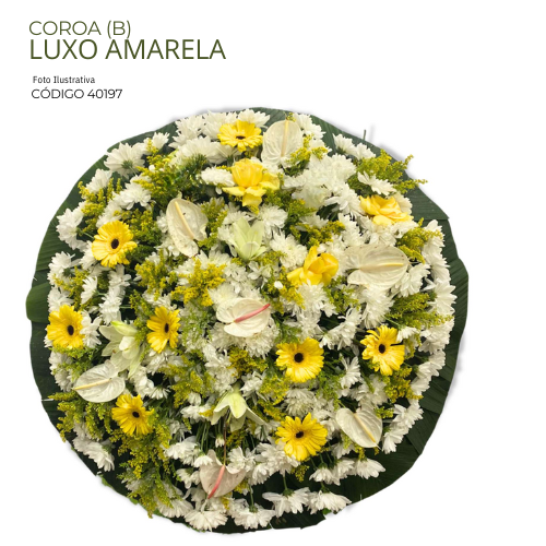 COROA (B) LUXO AMARELA