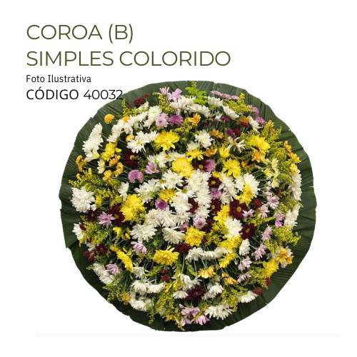 COROA (B) SIMPLES COLORIDO