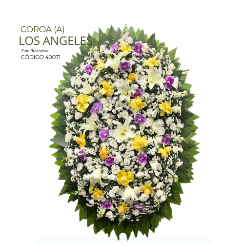 COROA(A) LOS ANGELES