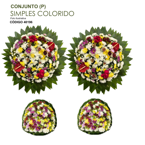 CONJUNTO (P) SIMPLES COLORIDO