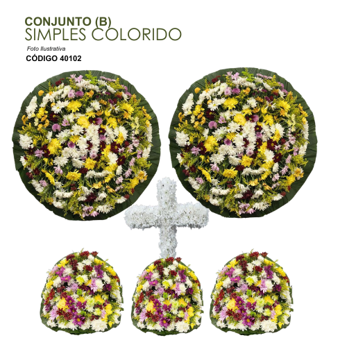 CONJUNTO (B) SIMPLES COLORIDO