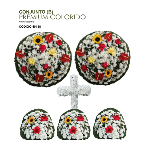 CONJUNTO (B) PREMIUM COLORIDO