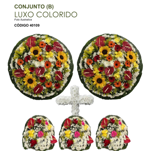 CONJUNTO (B) LUXO COLORIDO