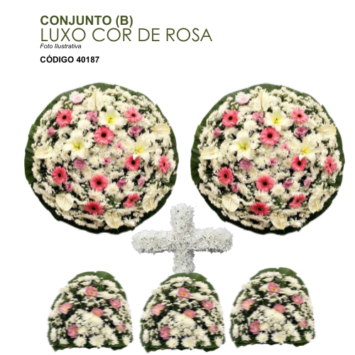 CONJUNTO (B) LUXO COR DE ROSA