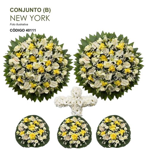 CONJUNTO (B) NEW YORK