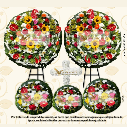 Conjunto B Luxo Colorido